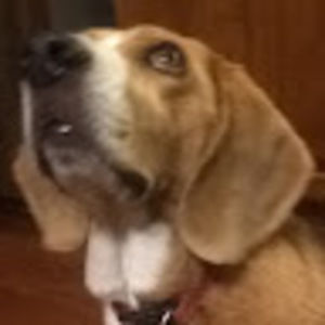 Meet your Posher, Mitchell